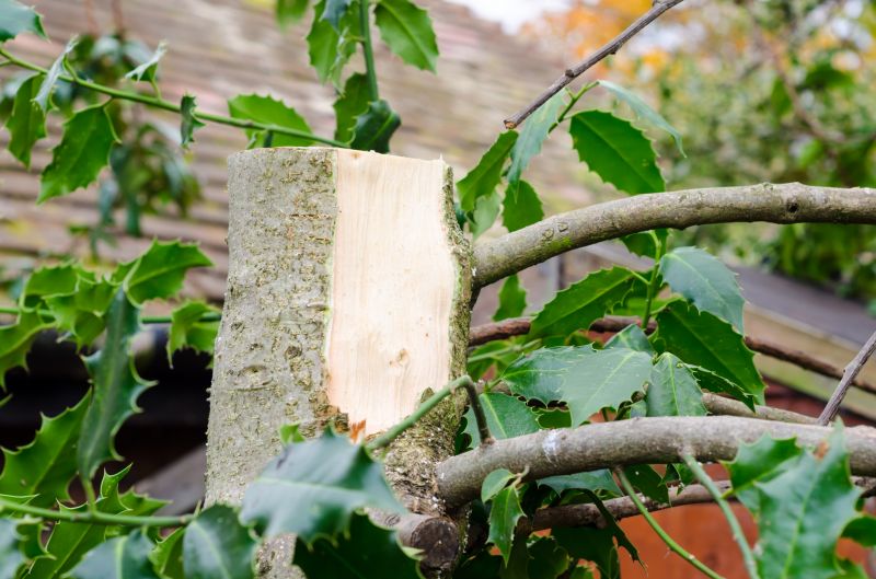 Property Before and After