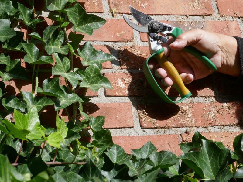 Effective Ivy Removal Tools